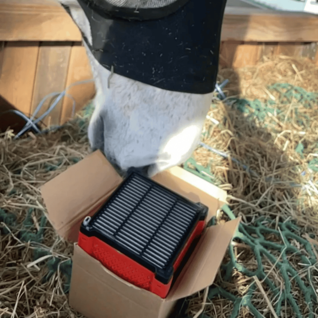 Filterbox - Filtrerer bort virus og bakterier